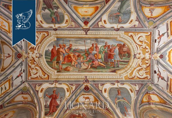 Image No.42-20 Bed Villa for sale