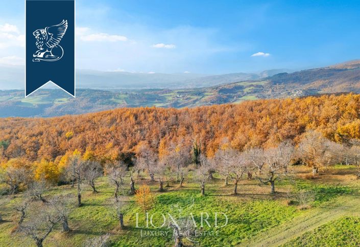 Image No.10-40 Bed Country House for sale