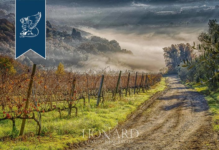 Image No.10-Ferme de 15 chambres à vendre à Certaldo