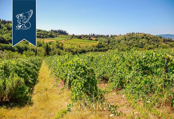 Image No.2-Ferme de 15 chambres à vendre à Certaldo