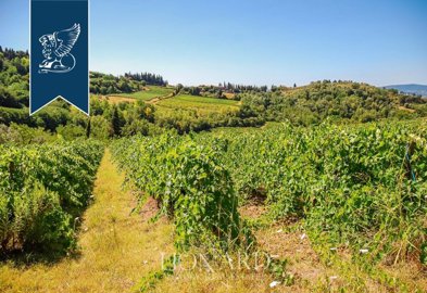 Lionard S.p.A. most sold property