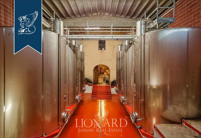 Image No.21-Ferme de 15 chambres à vendre à Certaldo