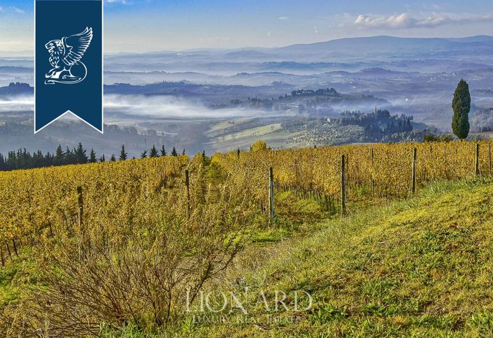 Image No.9-Ferme de 15 chambres à vendre à Certaldo