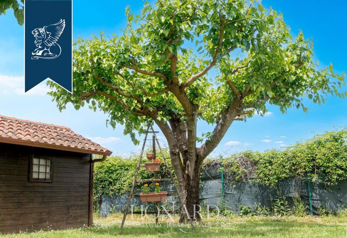 Image No.8-6 Bed Villa for sale