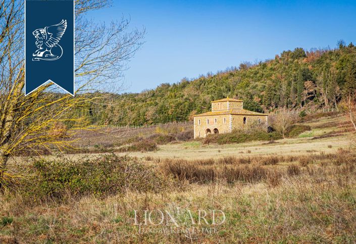 Image No.20-Ferme de 100 chambres à vendre à Rapolano Terme