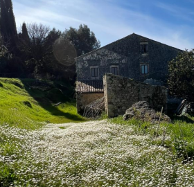 1 - Corfou, Maison