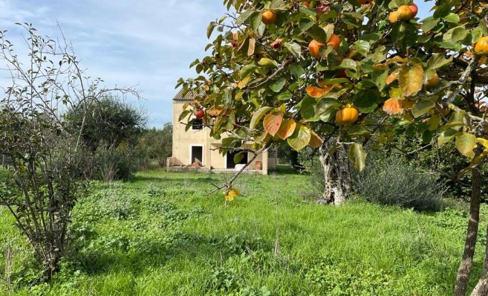 Image No.3-Maison à vendre à Corfou