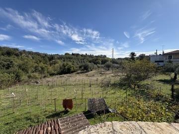 IMG_1094