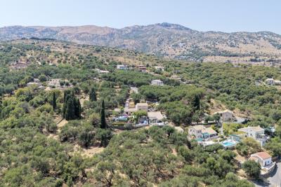 8799077fd4bd4dc86f202c3f91d5fed9