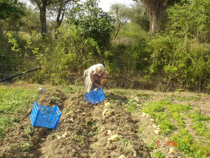 Image No.6-2 Bed Farmhouse for sale