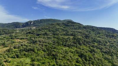 For-Sale---Villa--120-sqm-on-2-000-sqm-Land-with-Pool---Water-Reservoir-in-Agios-Georgios-Pagon--17-