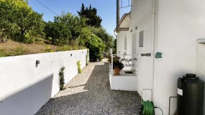Spacious-Country-Estate-with-Two-Detached-Homes-on-8-000-m--of-Private-Land--6-