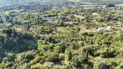 DJI_20260914095116_0274_D