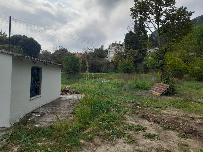 Image No.8-1 Bed House for sale