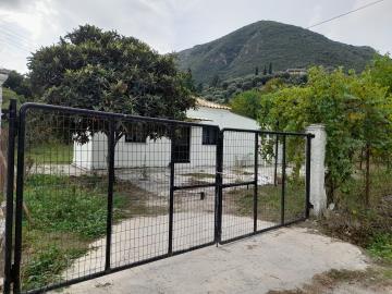Vatos-house--18-