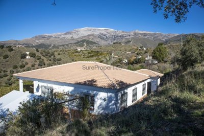 Sure Properties  most sold property