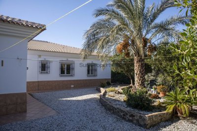 Sure Properties  most sold property