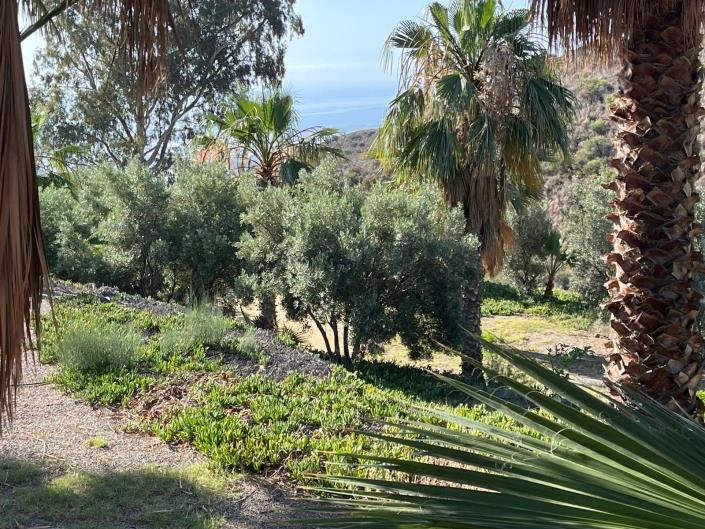 Image No.33-11 Bed Country House for sale