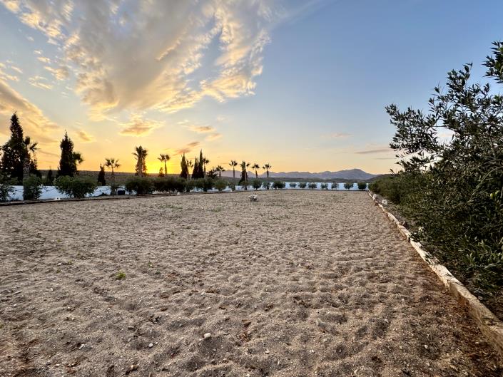 Image No.27-Chalet de 8 chambres à vendre à Águilas