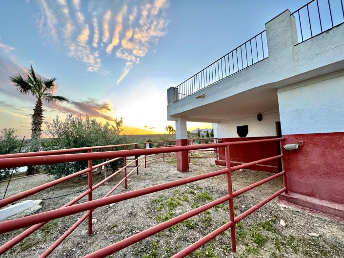 Image No.56-Chalet de 8 chambres à vendre à Águilas