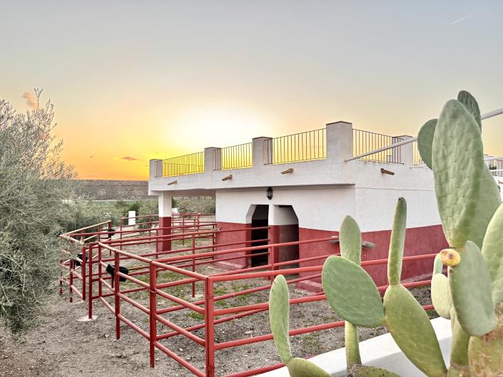 Image No.60-Chalet de 8 chambres à vendre à Águilas