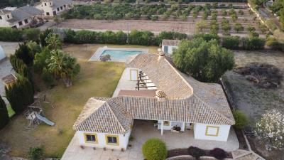 DJI_0266---copia