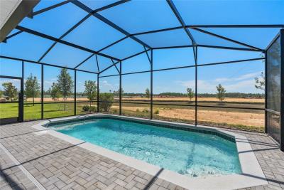 lakeshore-pool2