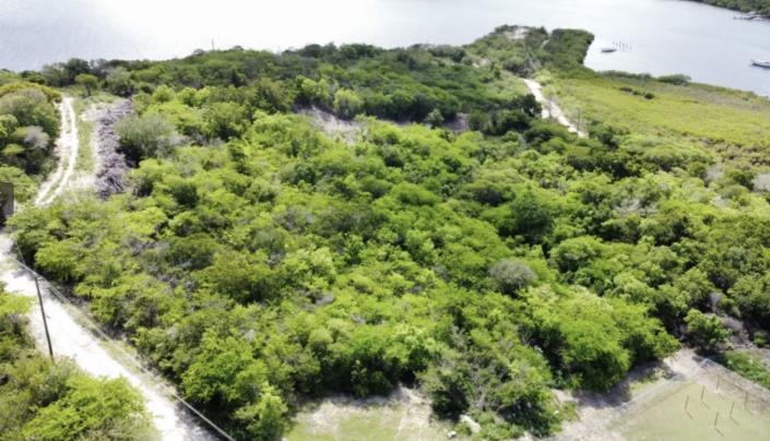 Image No.2-Land for sale