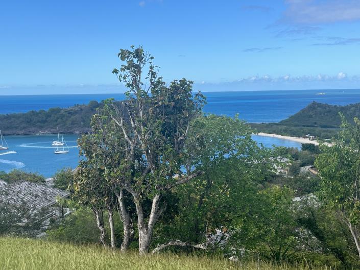 Image No.2-Land for sale