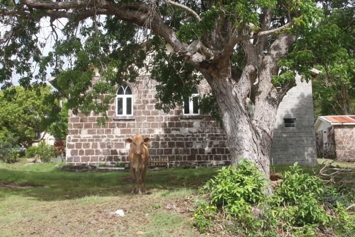 Image No.6-2 Bed House/Villa for sale