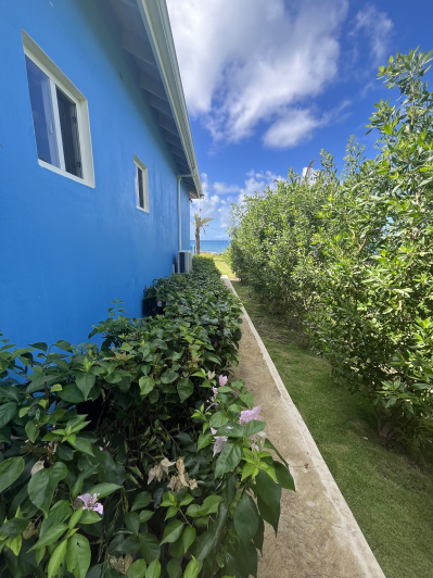 Image No.4-Maison / Villa de 3 chambres à vendre à English Harbour Town