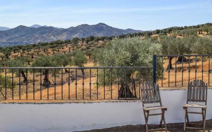 Image No.25-Cortijo de 4 chambres à vendre à Álora