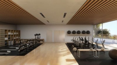 Gimnasio