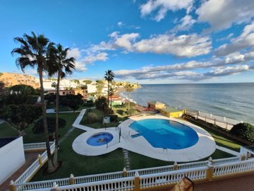 WhatsApp Image 2026-02-10 at 12.41.55 (2)