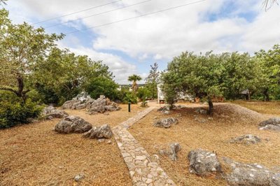 algarve-farmhouse-ptsaov486-4-1