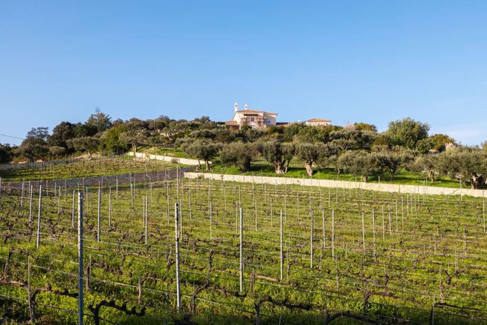 Image No.5-8 Bed Villa for sale