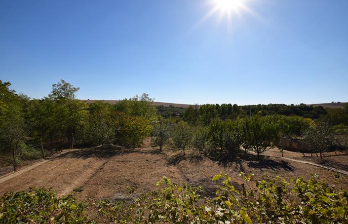 Image No.44-3 Bed House for sale