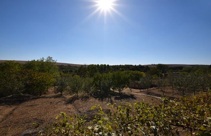 Image No.46-3 Bed House for sale