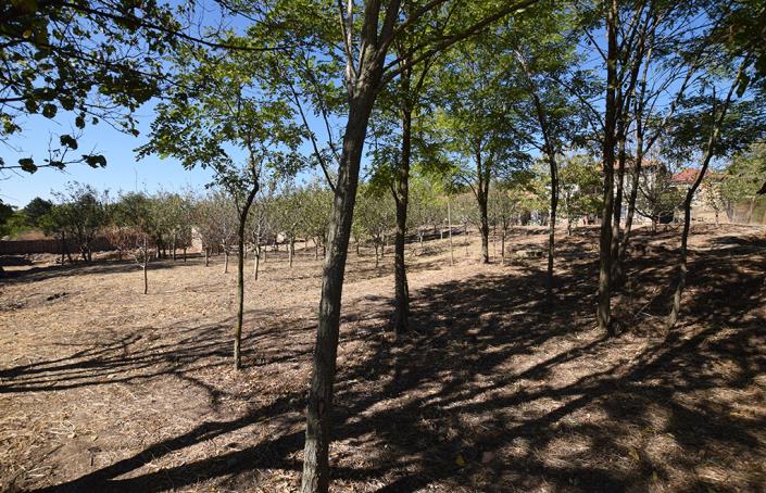 Image No.54-3 Bed House for sale