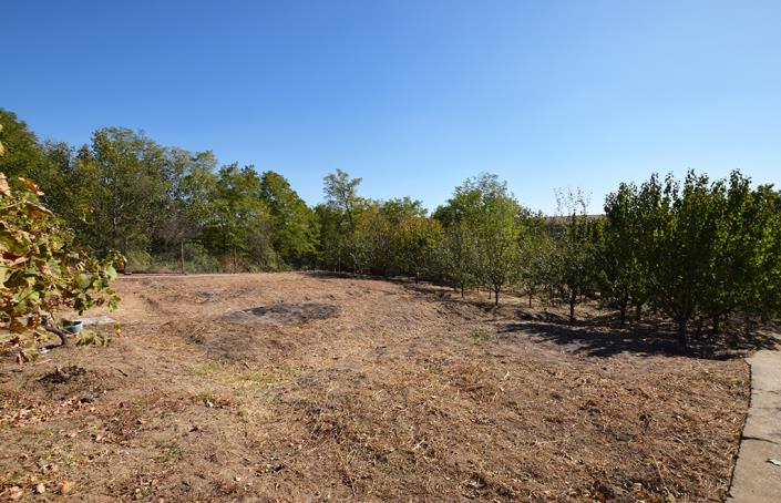 Image No.56-3 Bed House for sale