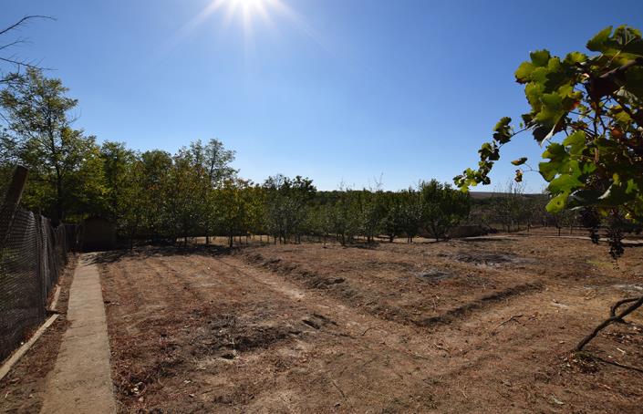 Image No.60-3 Bed House for sale