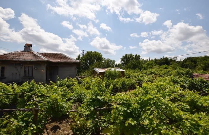 Image No.41-2 Bed House for sale