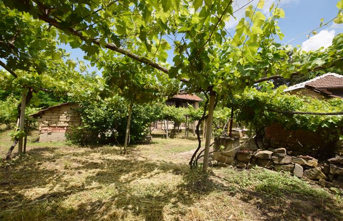 Image No.43-2 Bed House for sale