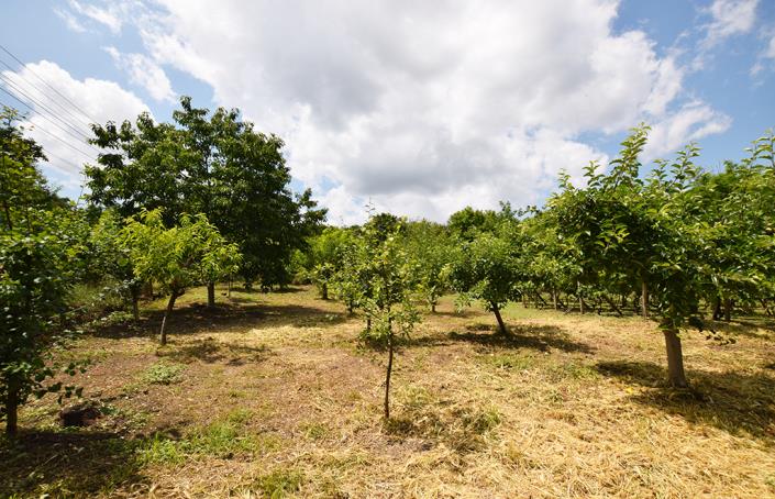 Image No.46-2 Bed House for sale