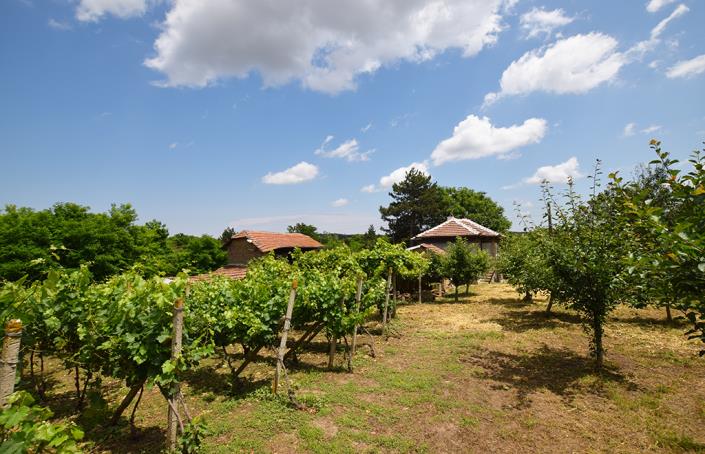 Image No.47-2 Bed House for sale