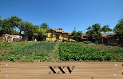 XXV-MAIN-SIGN