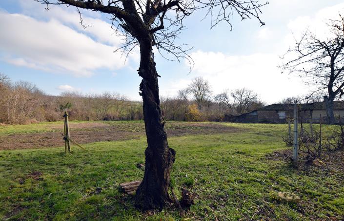 Image No.10-2 Bed House for sale