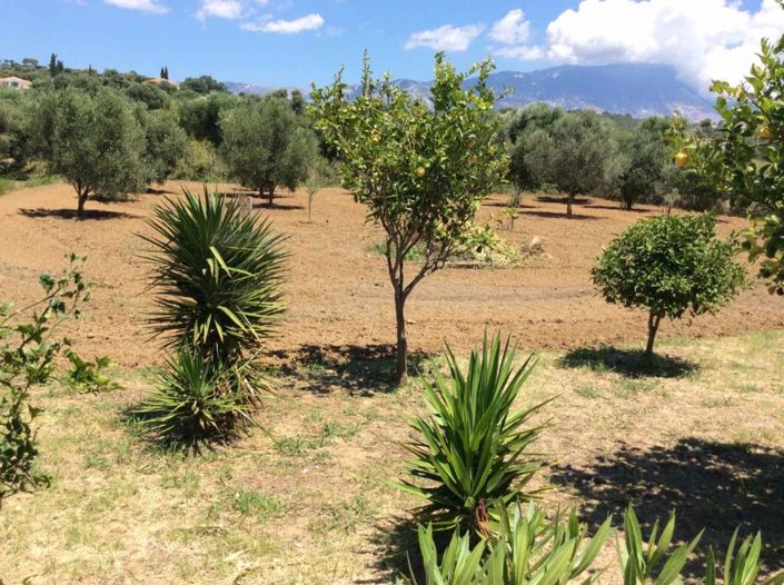 Image No.19-3 Bed Villa for sale