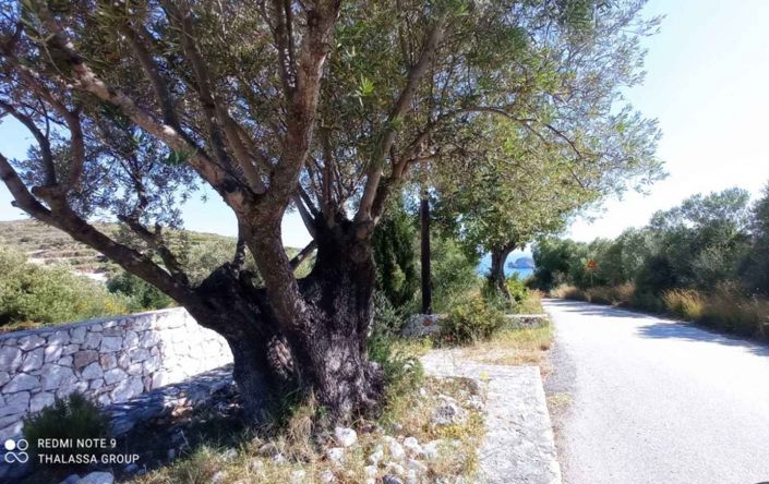 Image No.19-3 Bed Villa for sale