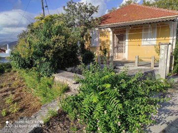 1 - Céphalonie, Maison